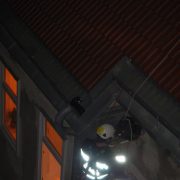 Höhenrettungsgruppe der Berufsfeuerwehr Wien rettet Katze vom Dach