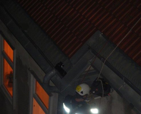 Höhenrettungsgruppe der Berufsfeuerwehr Wien rettet Katze vom Dach