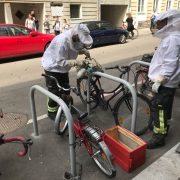 Bienenschwarm besetzt Fahrradabstellplatz