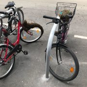 Bienenschwarm besetzt Fahrradabstellplatz