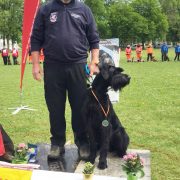 Gold und Bronze für die Rettungshunde des Katastrophenhilfsdienst des Wiener Landesfeuerwehrverbandes