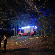 Nächtlicher Waldbrand im Grenzgebiet Wien-Niederösterreich rasch gelöscht