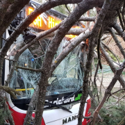 Linienbus kollidiert mit umstürzendem Baum – zwei Verletzte