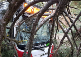 Linienbus kollidiert mit umstürzendem Baum – zwei Verletzte