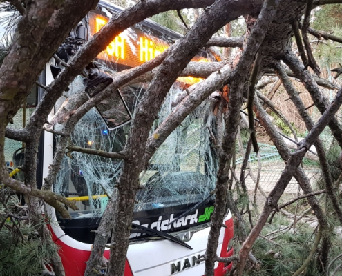 Linienbus kollidiert mit umstürzendem Baum – zwei Verletzte
