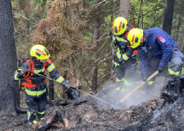 Drei Feuerwehrmänner im Waldbrandeinsatz bei schweren schweißtreibenden Arbeiten rund um einen stark rauchenden Wurzelstock im Gelände.