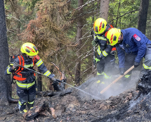 Drei Feuerwehrmänner im Waldbrandeinsatz bei schweren schweißtreibenden Arbeiten rund um einen stark rauchenden Wurzelstock im Gelände.