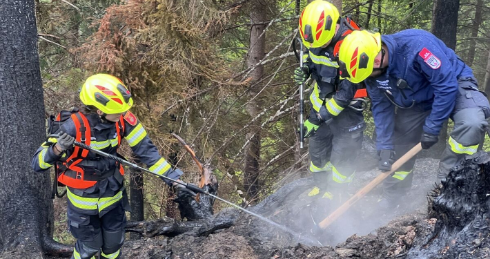 Drei Feuerwehrmänner im Waldbrandeinsatz bei schweren schweißtreibenden Arbeiten rund um einen stark rauchenden Wurzelstock im Gelände.