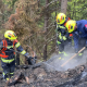 Drei Feuerwehrmänner im Waldbrandeinsatz bei schweren schweißtreibenden Arbeiten rund um einen stark rauchenden Wurzelstock im Gelände.